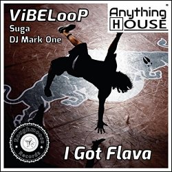 ViBELooP  Suga  DJ Mark One - I Got Flava