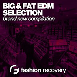 Various Artists - Big & Fat EDM Selection