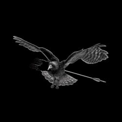 Airborne Toxic Event, The - America