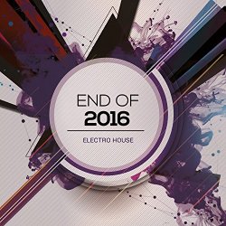 Various Artists - Electro House: End of 2016