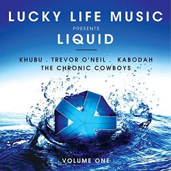 Various Artists - Liquid