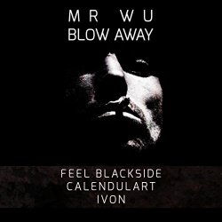 Mr Wu - Blow Away