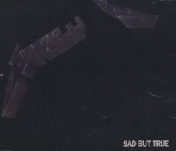 Metallica - Sad But True