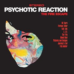 Fire Escape, The - Psychotic Reaction