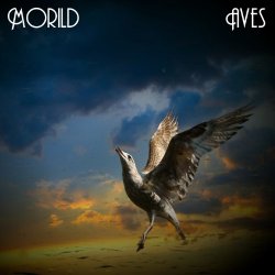 Morild - Aves