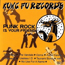 Various Artists - Punk Rock Is Your Friend