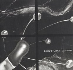 David Sylvian - Camphor+1 (Instrumental Anthol