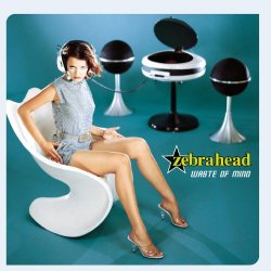 Zebrahead - Waste of Mind