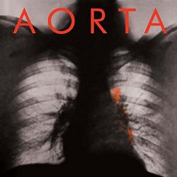 Aorta - Aorta