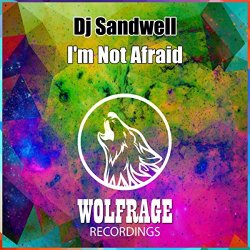 Dj Sandwell                                                 - I'm Not Afraid (Original Mix)