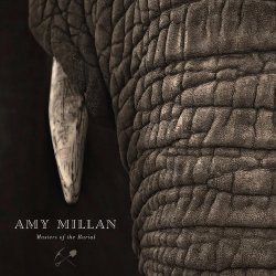 Amy Millan - Masters Of The Burial