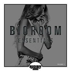  - Bigroom Essentials, Vol. 1