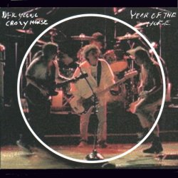 Neil Young and Crazy Horse - Year of the Horse (Live)