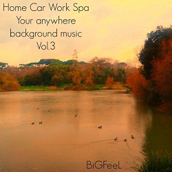 Various Artists - Home Car Work Spa: Your Anywhere Background Music, Vol. 3