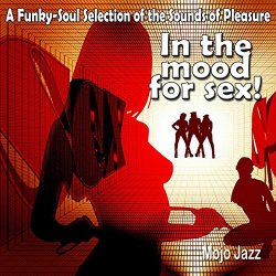 Various Artists - A Funky-Soul Selection of the Sounds of Pleasure (In the Mood for Sex!)