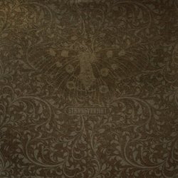 STNNNGVRNMNT - Remarkable Citizen