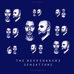 Deepshakerz, The - What Can I Do?