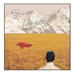 Lady Lamb the Beekeeper - After [Import anglais]