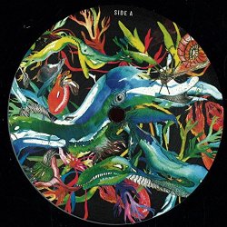 Silky Raven - Seychelles to Rave