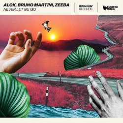 Alok, Bruno Martini, Zeeba - Never Let Me Go (Extended Mix)