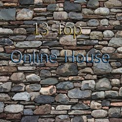 Various Artists - 13 Top Online House [Explicit]