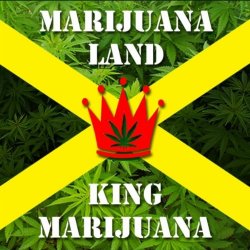 KING WEED - I Love Smokin' Weed