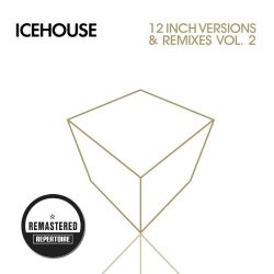 12 Inch Versions & Remixes Vol. 2 (Remastered)