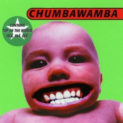 Chumbawamba - Tubthumper