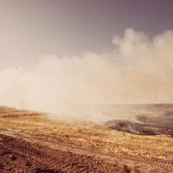 Celer - Hidden, For Once