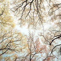 Lantscap - Varying Degrees Of Alive