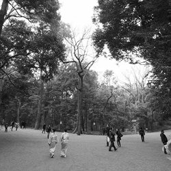 Ian Hawgood - Myopic Graphs