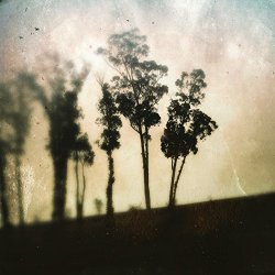 William Ryan Fritch - Loose Limbed