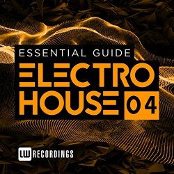 Essential Guide: Electro House, Vol. 4