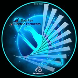 Bob Ray - Electric Ferments