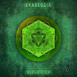 Ekaologic - Ninghizida