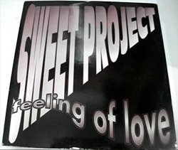 SWEET PROJECT - FEELING OF LOVE