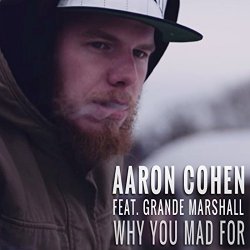 Aaron Cohen - Why You Mad For [Explicit]