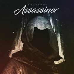 Dee Jay Groove - Assassinen