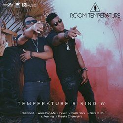 Room Temperature - Temperature Rising - EP