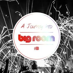 Various Artists - A Journey Into Big Room, Vol. 3