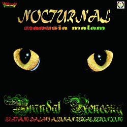 Brandal Rencong - Nocturnal