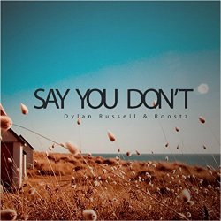 Say You Don't