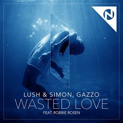 Lush and Simon - Wasted Love [feat. Robbie Rosen]