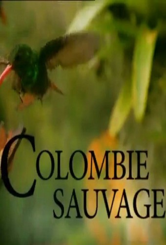 Colombie sauvage
